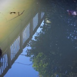 『旧隅田川』の画像