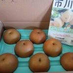 ささやかな楽しみがある暮らし