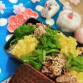 妄想お花見弁当。