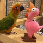 ペットショップワンラブ ららぽーと安城店のスタッフブログ