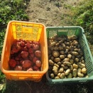 今、高市政権支持は、将来後悔するぞ！