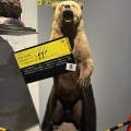 超危険生物展