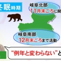 【悲報】クマさん、冬眠しないで未だに暴れまくってる模様