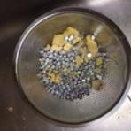 はうじんぐスタッフの日常