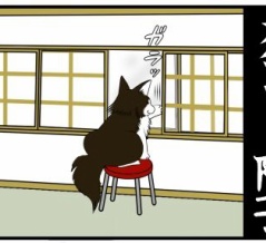 猫vsガラス障子