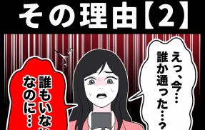 身近で起こった怖〜い話【猫が怯えるその理由・２】