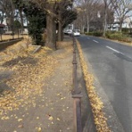 図南会 剣太刀道 公式ブログ