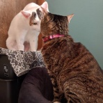 moroのハンドメイド