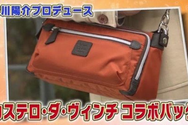 日テレ限定 カステロ ダ ヴィンチ コラボバッグの良い口コミと悪い口コミ テレビ通販 話題のあの商品 の口コミ