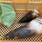 向島ポンポコ日記