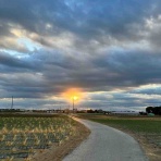 白子玉ねぎがおいしい林農園のblog