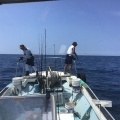 250712のジギング