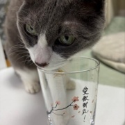 不運続きの日は幸運1つで帳消しになります～♪