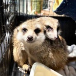 茅ヶ崎ふれあい動物園blog