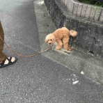 TREAT &co.
