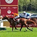 ビザンチンドリーム有馬記念回避の可能性