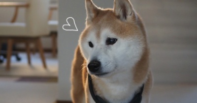 西日を浴びて…