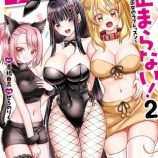 �ء֥�����ȥ��ԡ����ߤޤ�ʤ������ʣ�����Υ�֥�å������2�����ʲ���٤β���