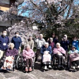 『国分寺花まつり2026🌸』の画像