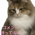 なぎの血液検査