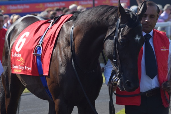 Nathanielの競馬ブログ 海外競馬18アイルランド