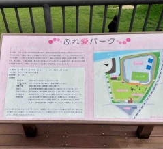 【公園巡り'26】大洲市の「ふれ愛パーク」へ！大型遊具・走る電車・広い芝生に大興奮
