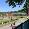 2026年5月　相模の大凧祭り