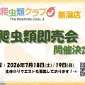 【新潟店】爬虫類即売会開催決定！！