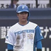 【5/8 二軍試合結果】サヨナラ勝利　奈良間大己は本塁打を含む3安打2打点