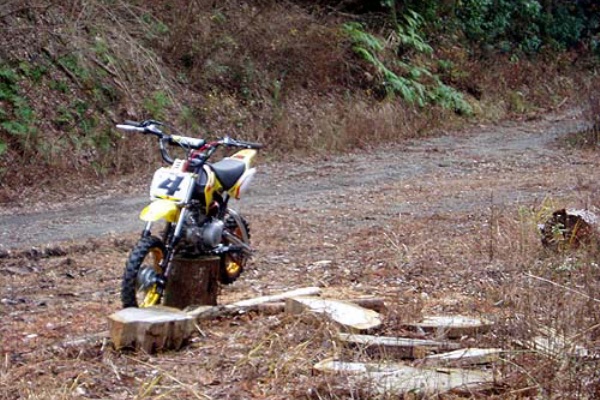 子供とバイクで遊ぼう Crf50f