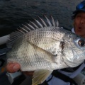 8月8日釣果情報！！