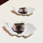 神戸　須磨のパン教室                                            　La cuisine de　shinopan