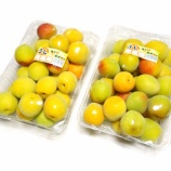 『梅仕事2014　自家製梅干作り (3Lサイズ南高梅購入・追熟・漬け準備・塩漬け)』の画像