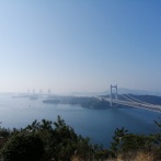 がんばりが報われた気がする