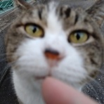 癒え待ちの月‐イエマチノツキ‐