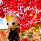 【ぬい撮り】函館市・新中野ダムの紅葉を見に行って来ました♡