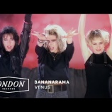 『今日のリンクス、新しいドミニオンきました!』の画像