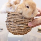 入っているとかわいい