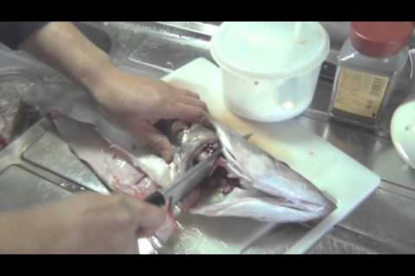 釣りつべちゃんねる 釣りよかでしょう