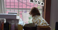雨の週末。