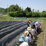 『子どもたち、植える』の画像