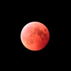 『速報：皆既月食と天王星食　2022/11/09』の画像