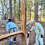 ｢院長の独り言｣