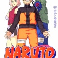 NARUTOってなんで急に属性みたいなの出したの
