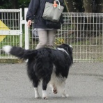 尾も白い奴等