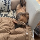 おじさんの休日的な…