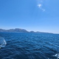 5月14日　釣果　神津島