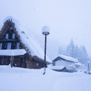 2026.1.9  一枚の彩時季