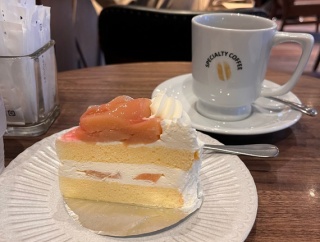 初めてのハローワークとドトール珈琲店
