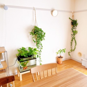 貧乏な人の部屋ほど モノが多い理由 のんびり楽しく貯金 Powered By ライブドアブログ